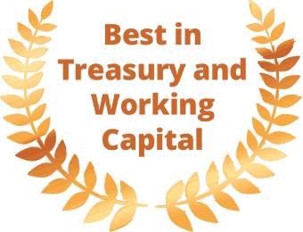 Best in Treasury and Working Capital, New Economy
